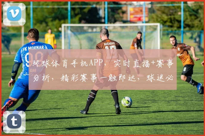 环球体育手机APP，实时直播+赛事分析，精彩赛事一触即达，球迷必备