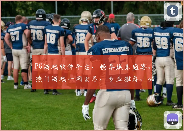 PG游戏软件平台，畅享娱乐盛宴，热门游戏一网打尽，专业推荐，必看攻略，轻松上手