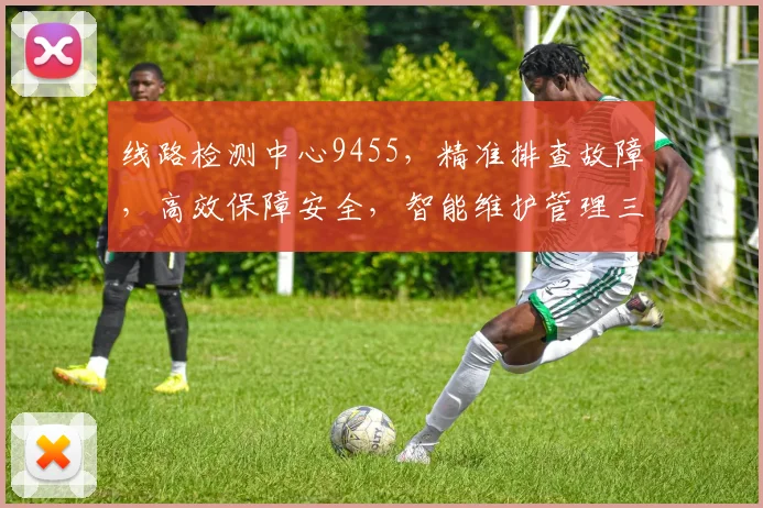 线路检测中心9455，精准排查故障，高效保障安全，智能维护管理三合一，服务至上