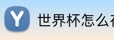 世界杯怎么存款提款 Logo